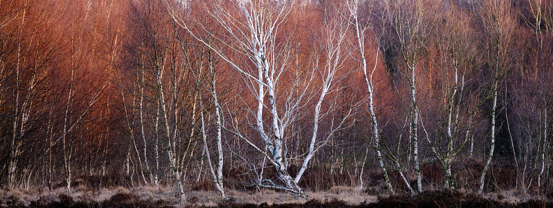 22 03 18 xt3  DSF6424