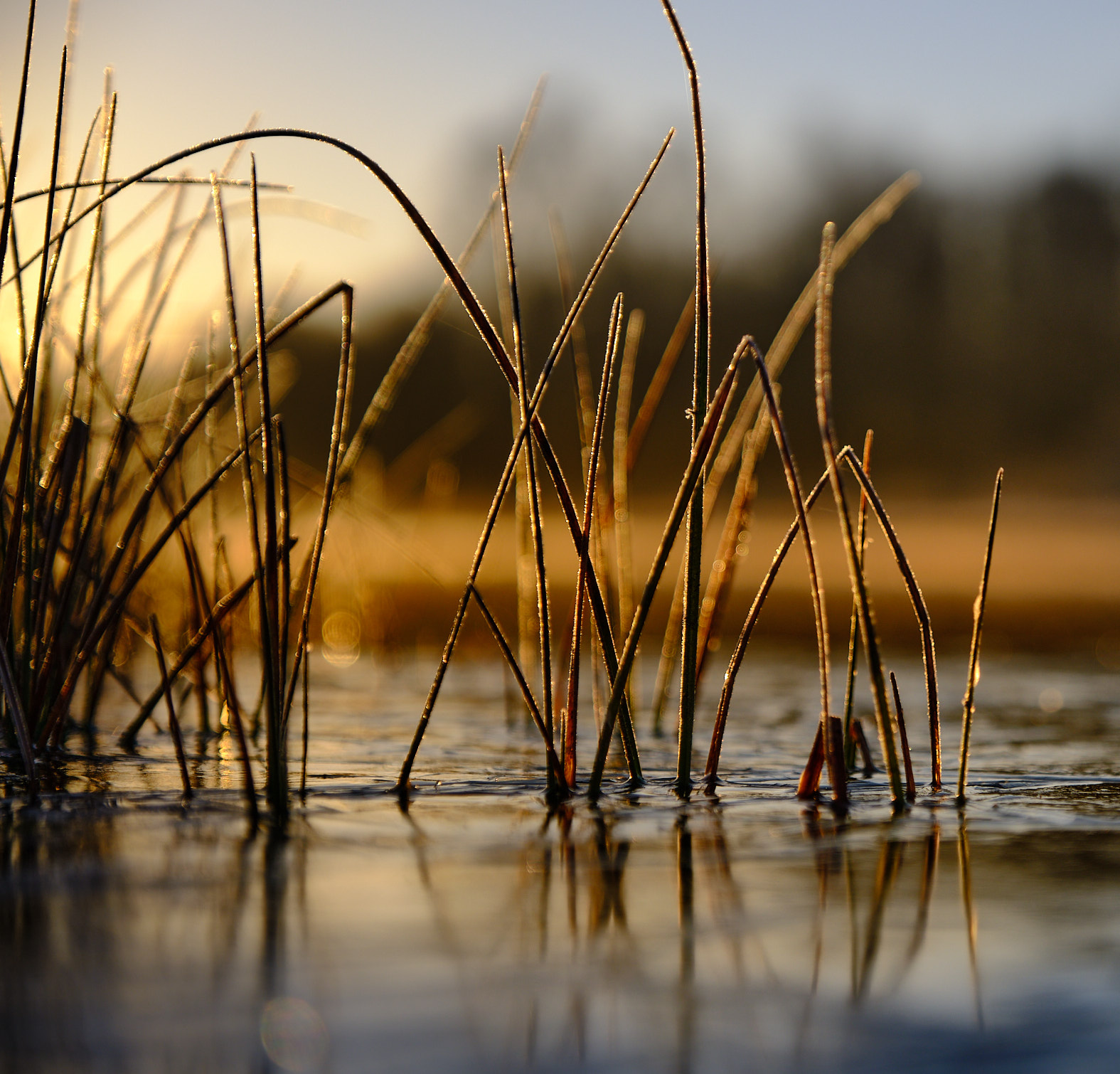 22 03 19 xt3  DSF69881