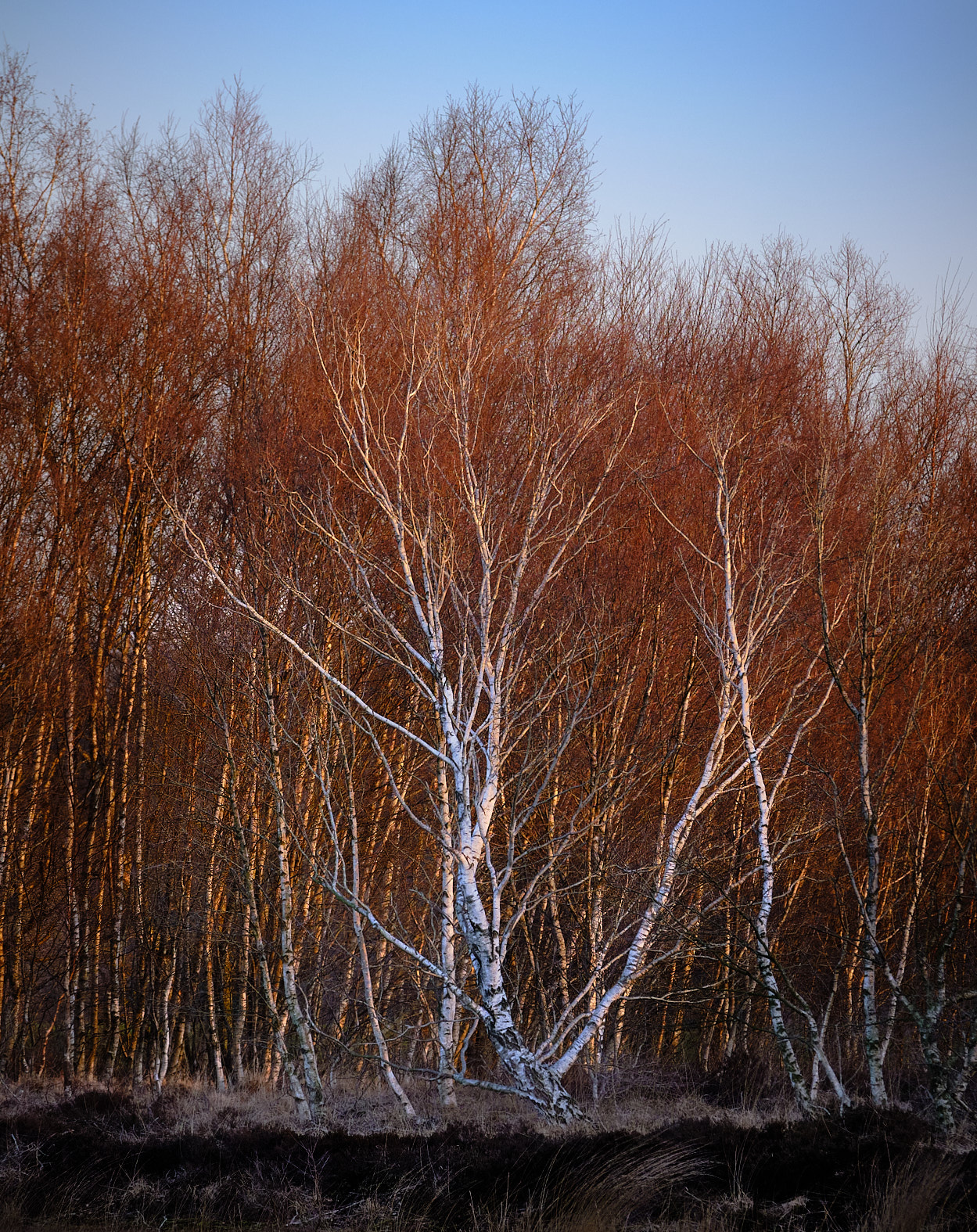 22 03 19 xt3  DSF7147