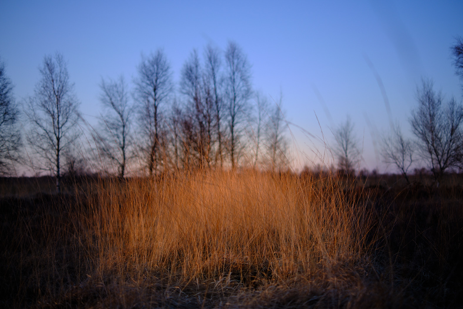 22 03 19 xt3  DSF7211