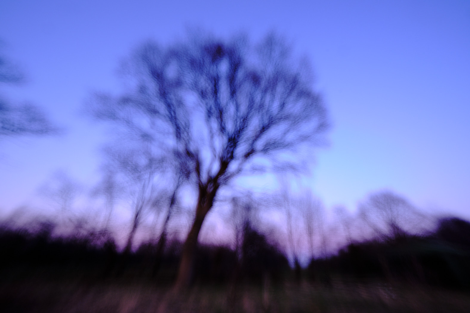 22 03 19 xt3  DSF7356