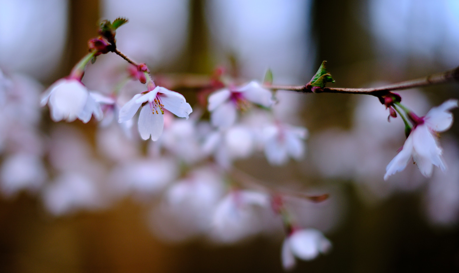 22 03 29 xt3  DSF7981