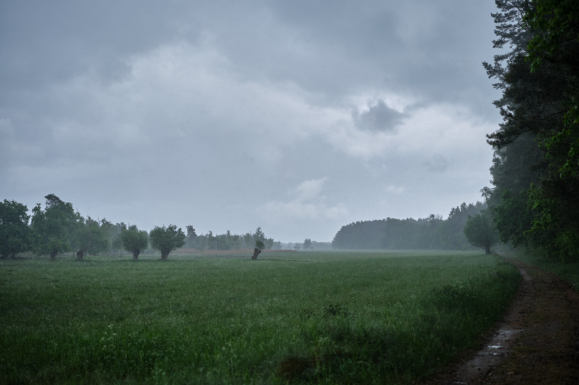 22 05 21 xt3  DSF0860