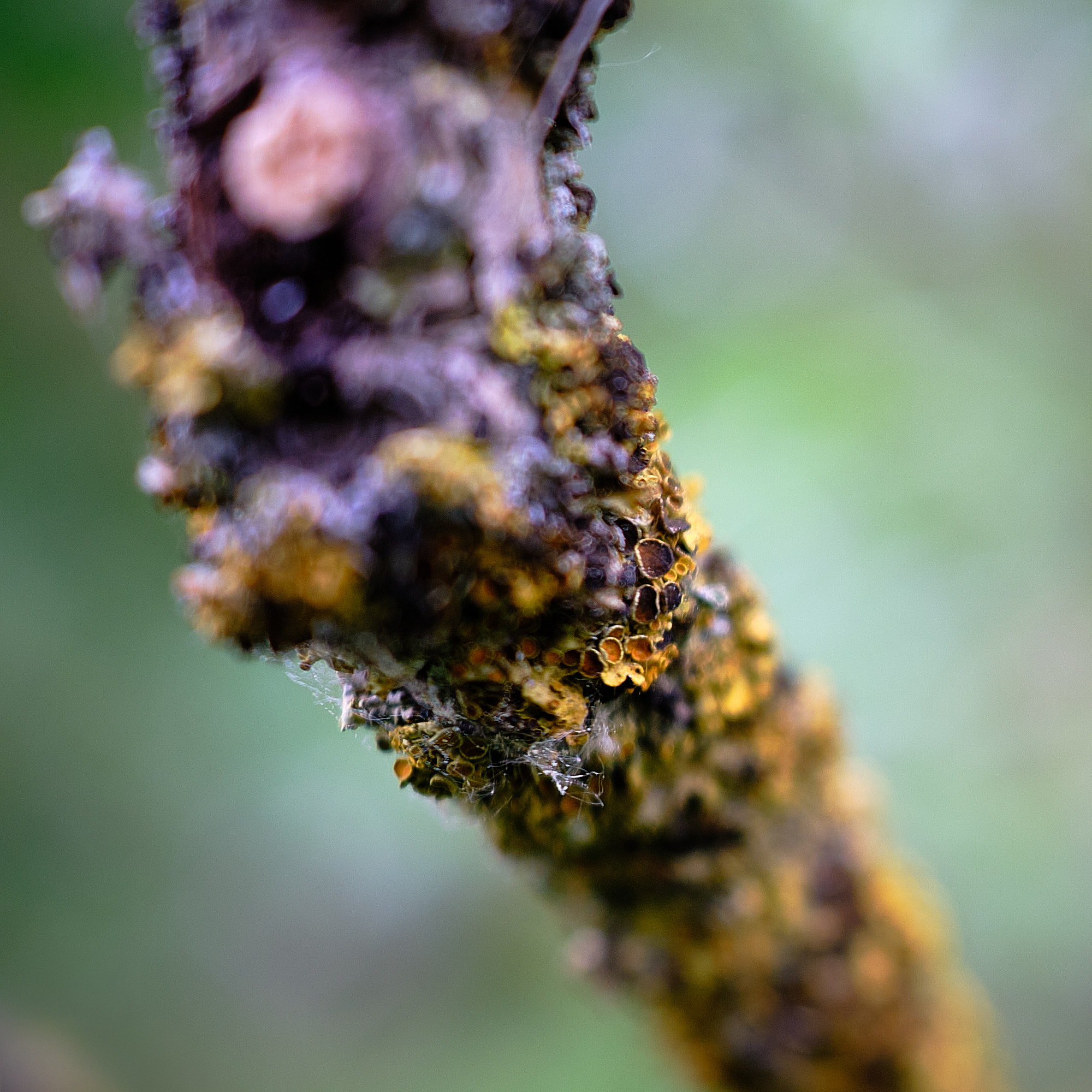 22 05 21 xt3  DSF9674