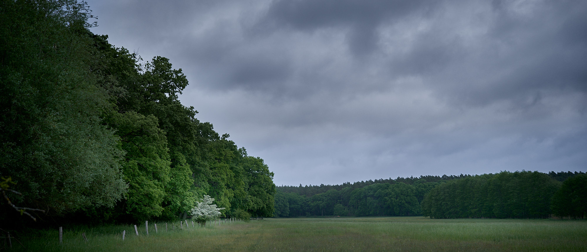 22 05 21 xt3  DSF9812