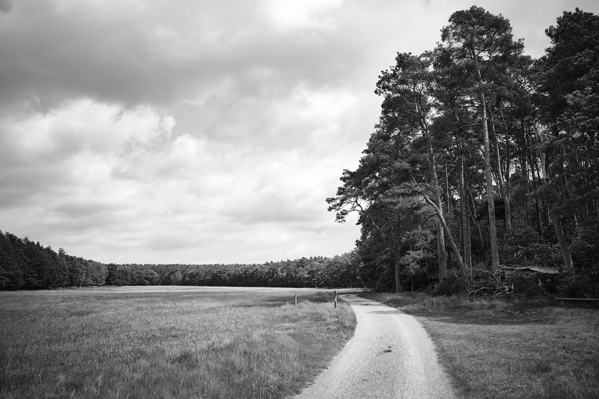 22 05 21 xt3  DSF9993