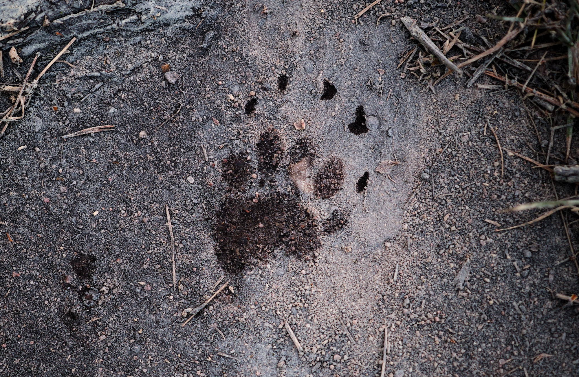 22 05 22 xt3  DSF1463