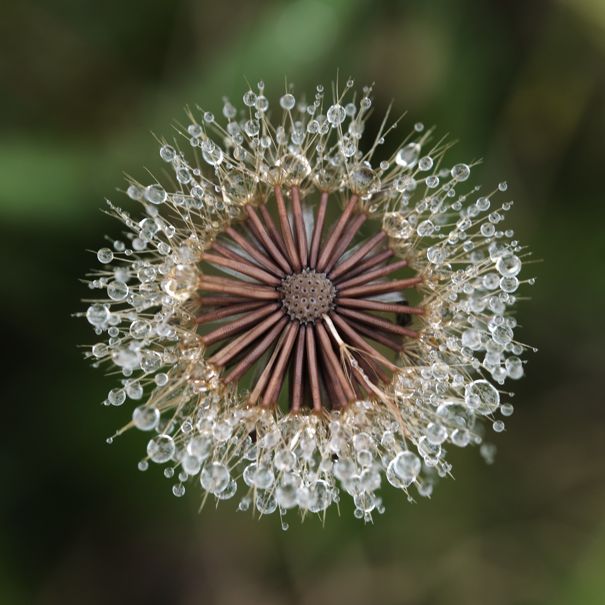 22 08 07 xt3 DSCF5973