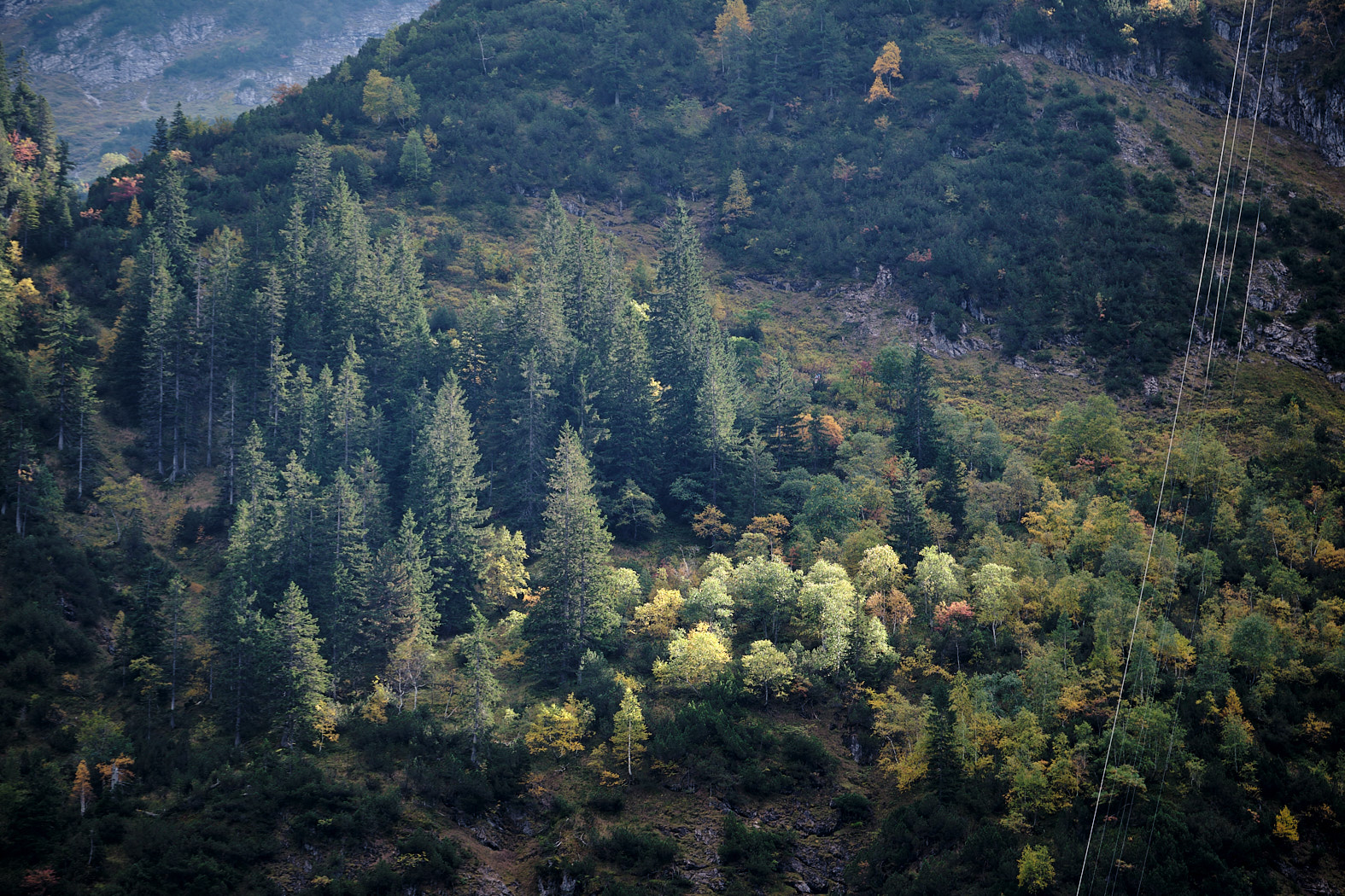 21 10 02 xt3  DSF81131