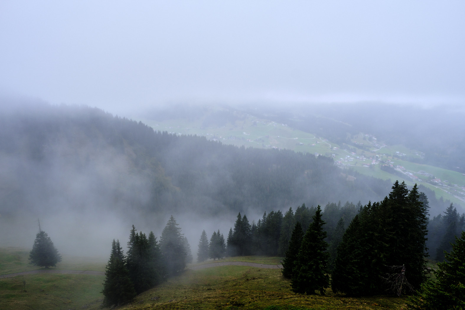 21 10 05 xt3  DSF8555