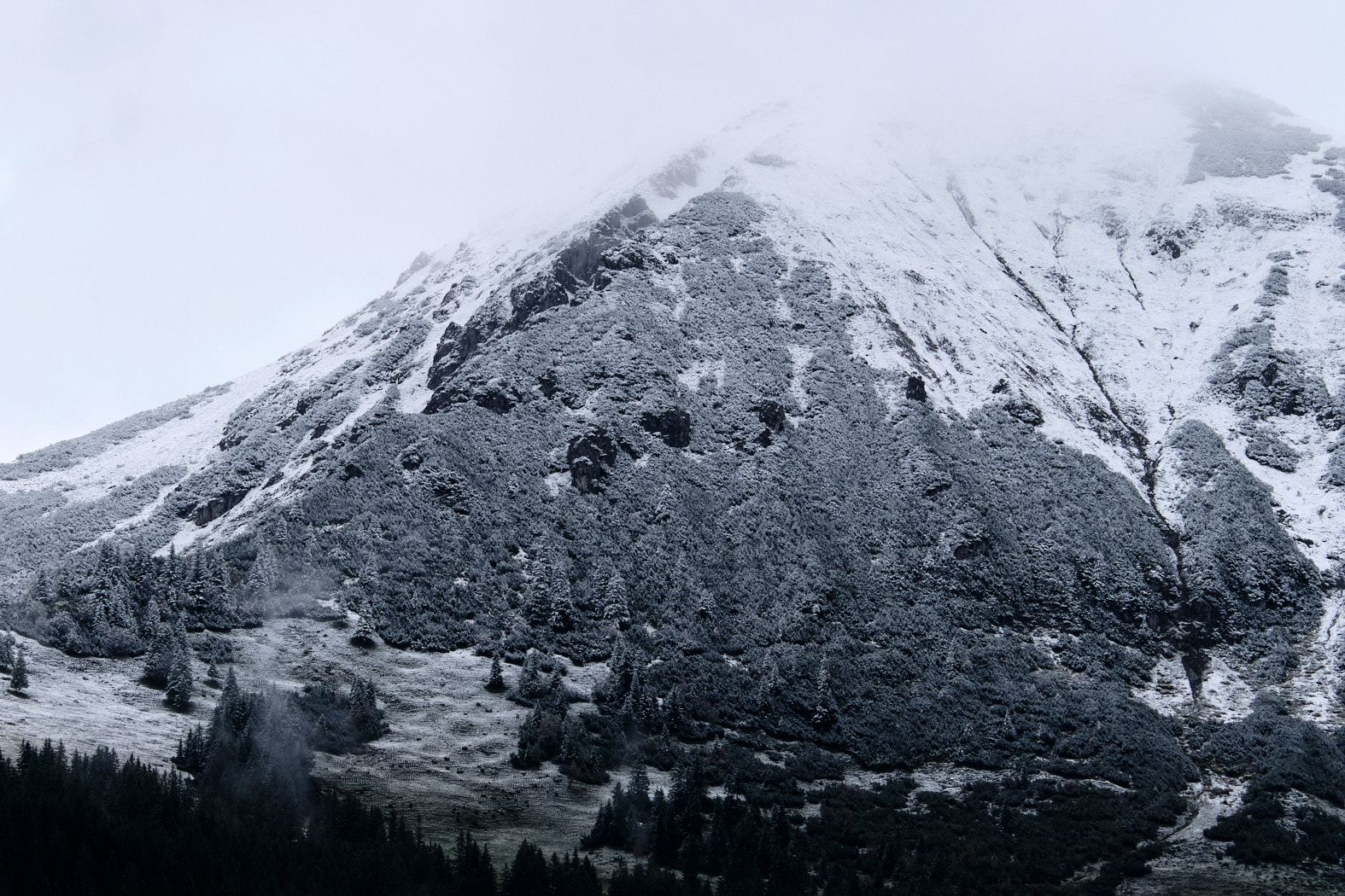 21 10 06 xt3  DSF8680