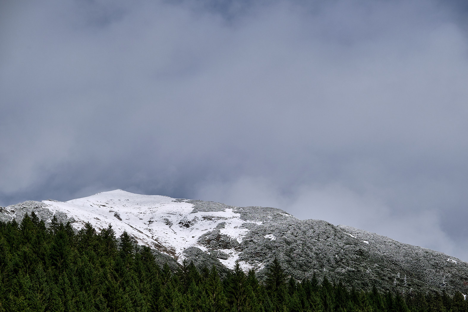 21 10 06 xt3  DSF8973