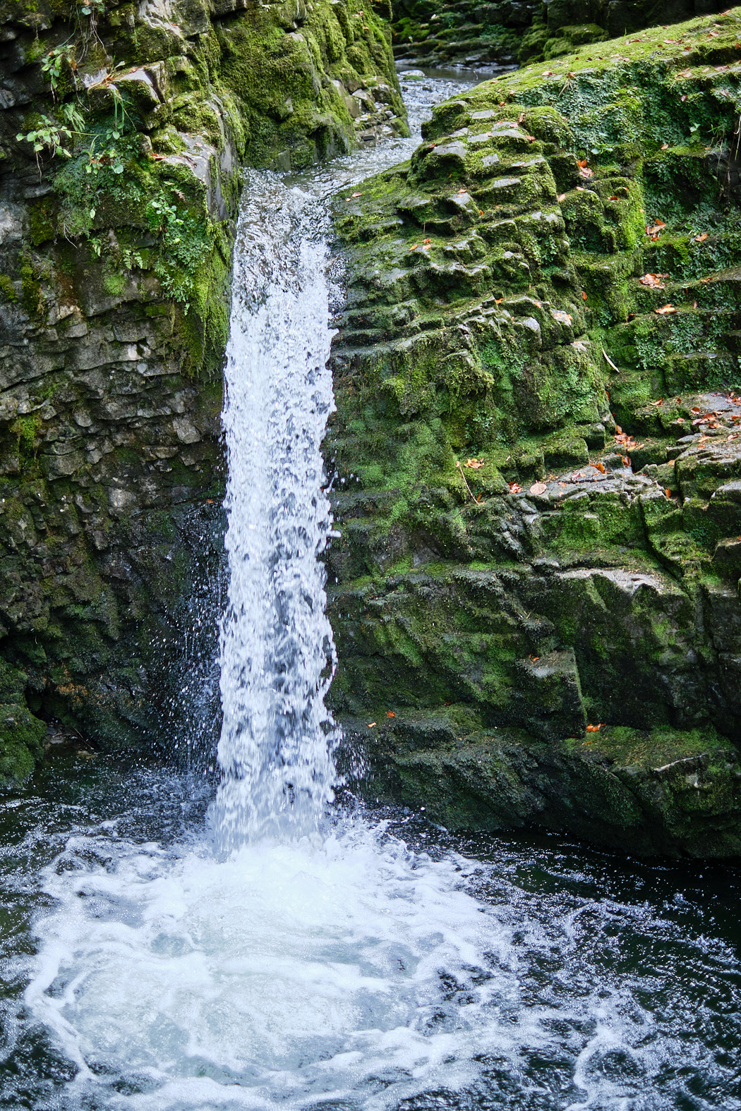 21 10 07 xt3  DSF9757