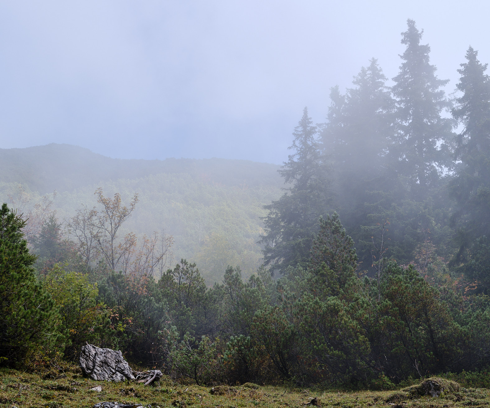 21 10 08 xt3  DSF05651