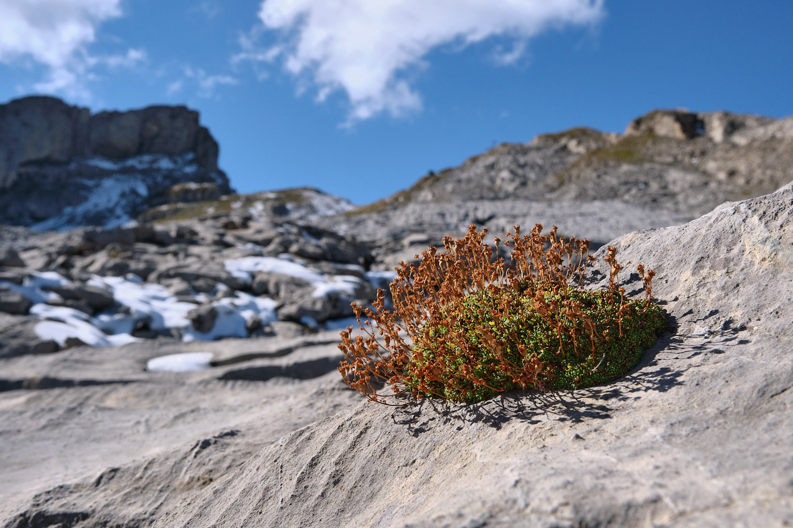 21 10 10 xt3  DSF38421