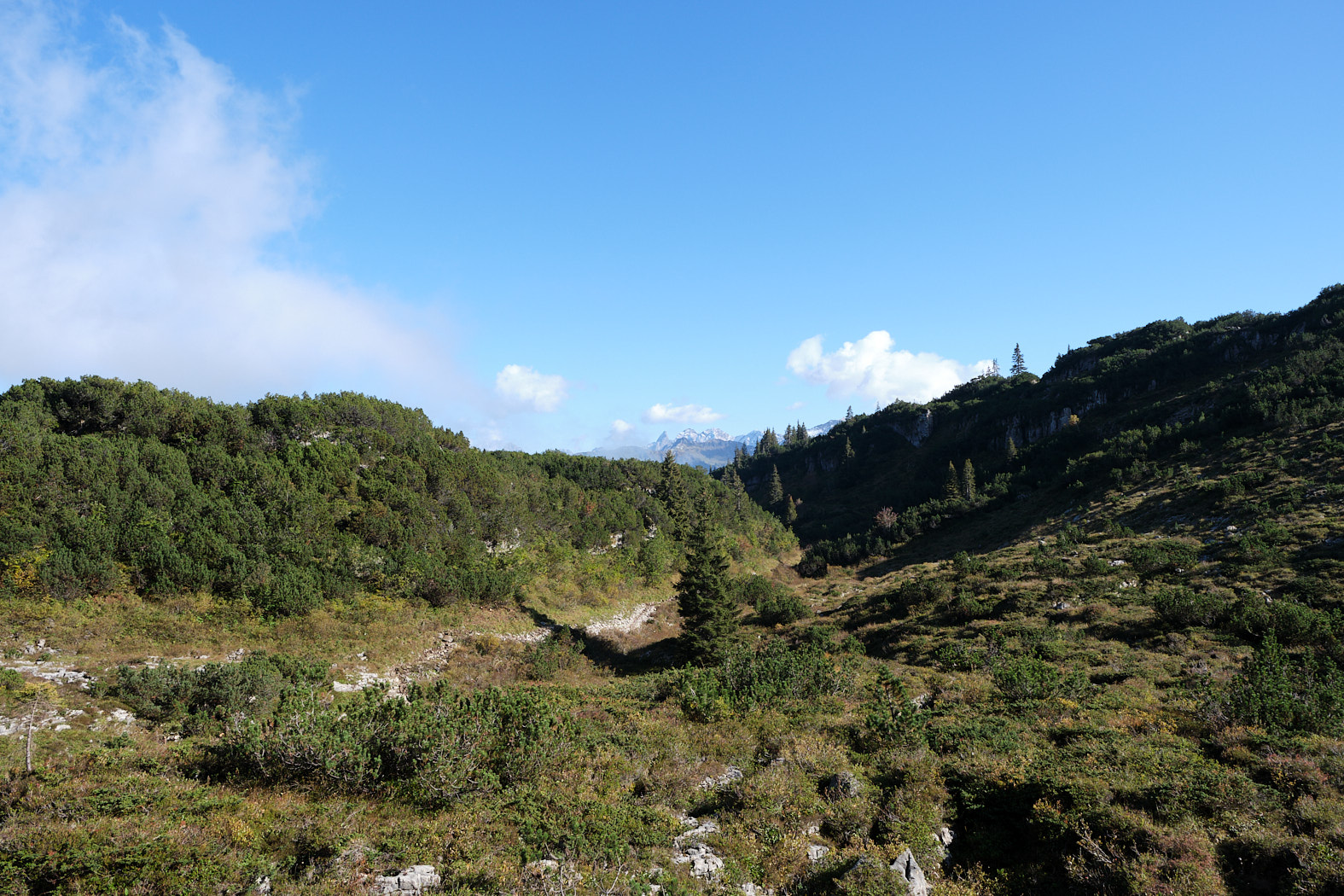 21 10 10 xt3  DSF4241