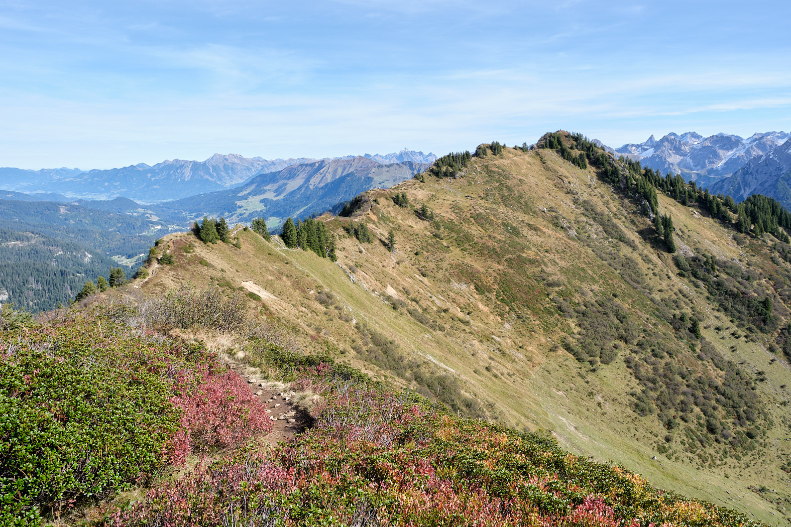 21 10 11 xt3  DSF4609