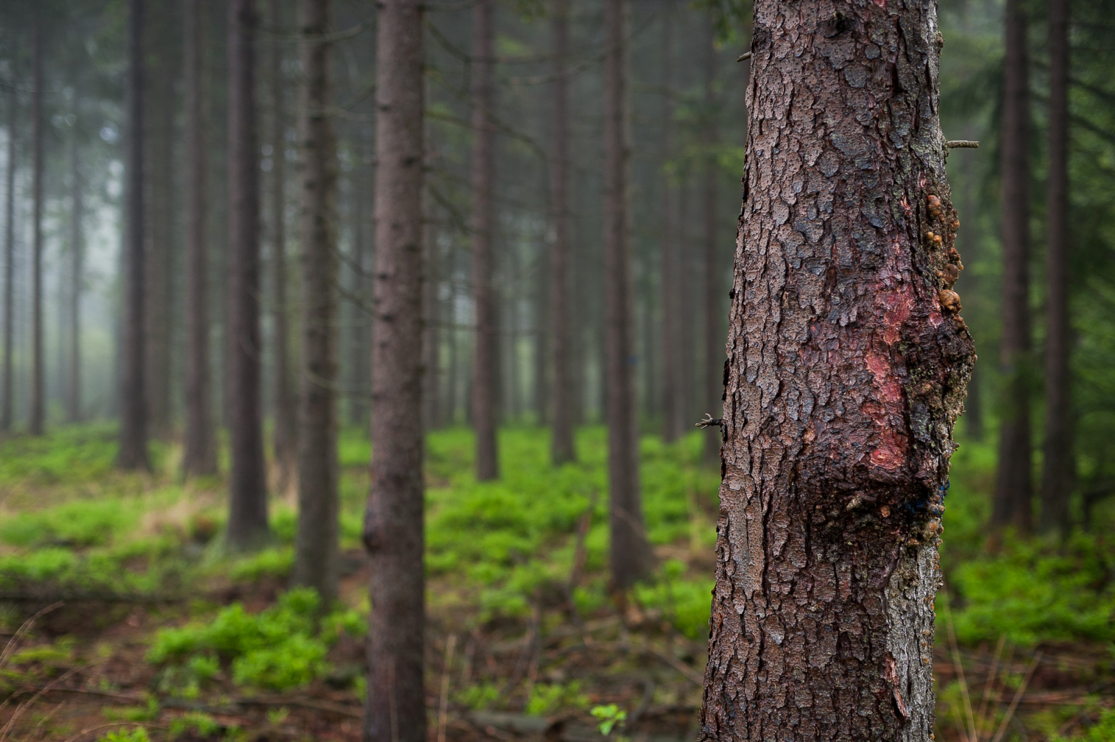 2013 06 01 12111645.1600