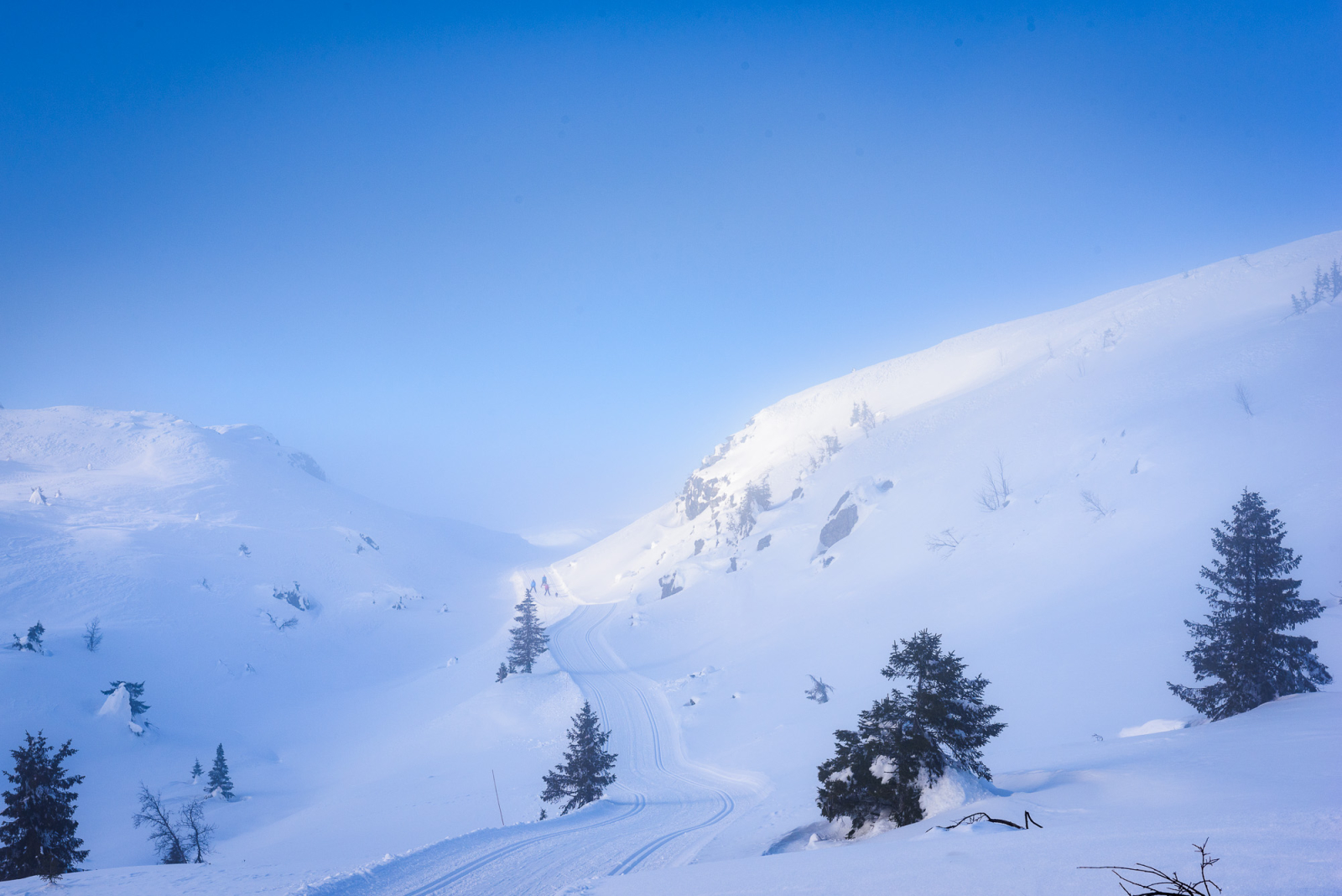 2016 03 12 D750 8463.1600